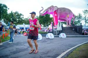 BIB: 
                            <button type="button" onclick="openModal(26551699)" class="btn btn-primary btn-sm float-right btn-popup" data-toggle="modal" data-target=".modal-high-quality">
                        <i class="fas fa-shopping-cart"></i> Add to Cart
                    </button>
                                            <button type="button" onclick="isThisMe(26551699, true)" class="btn btn-success btn-sm float-right btn-popup btn-isme hidden" data-toggle="tooltip" data-placement="bottom" title="นี่คือรูปของคุณใช่ไหม คลิกที่นี่เพื่อเอาเข้าอัลบั้ม">
                        <i class="fas fa-plus"></i> Add to album
                    </button>
                    <button type="button" onclick="isThisMe(26551699, false)" class="btn btn-warning btn-sm float-right btn-popup btn-isnotme hidden">
                        <i class="fas fa-ban"></i> Remove from album
                    </button>